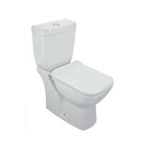 Immagine di Bowl with cistern for Coupled WC