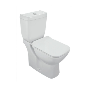 Immagine di Bowl with cistern for Coupled WC