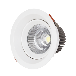 Picture of LED Eris - 20W Cool White 