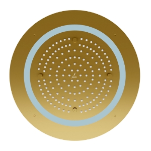 Picture of Duoflo Shower Round Shape - Gold Matt PVD